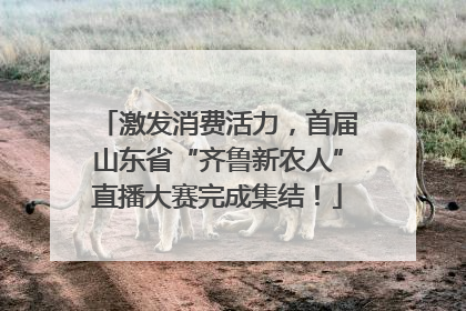 激发消费活力，首届山东省“齐鲁新农人”直播大赛完成集结！